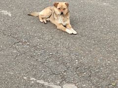 -韵之源农家菜(北京1店)