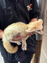 -Zoolung Zoolung动物主题公园(海信广场店)