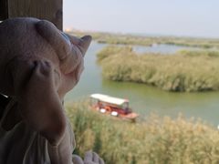 -九又四分之三站台哈利波特商店