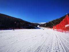-密苑云顶乐园(云顶滑雪场)