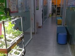 -艾克瑞特机器人教育(金狮校区)