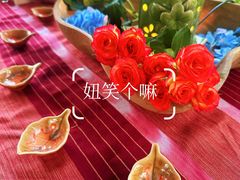 -云溪植物园