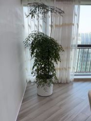 -HEYAN荷妍专业脱毛连锁机构