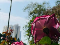 -人民公园(罗湖区)