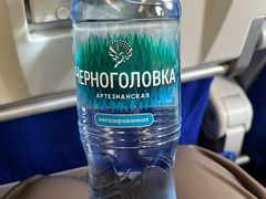 -谢列梅捷沃国际机场