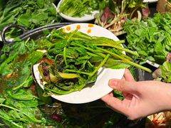-巴蜀大将火锅(春熙店)