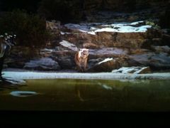 -万达影城(潍坊万达广场IMAX店)