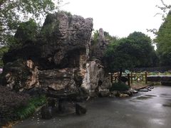 -朴园