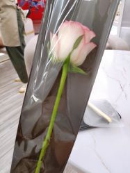 -Face Score美甲美睫皮肤管理