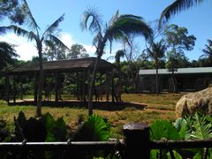 -海南热带野生动植物园