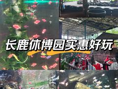 -长鹿旅游休博园