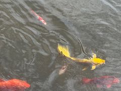 -景德镇中国陶瓷博物馆西山湖凯莱度假酒店