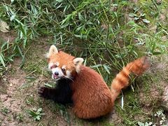 -西安秦岭野生动物园