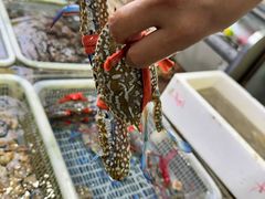 -后田海鲜餐厅(南澳香湖湾店)