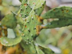 -驿舍·民國老营房院子私房菜(科学会堂店)