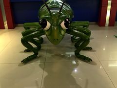 -上海昆虫博物馆