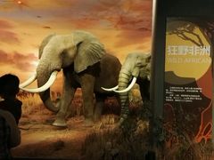 -扬州科技馆