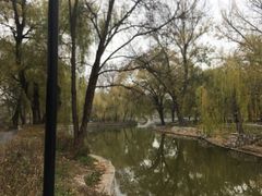 -达活泉公园