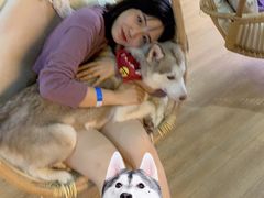 -Husky Go! 哈士奇体验馆·宠物咖啡厅狗咖