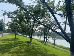 -羊山湖公园