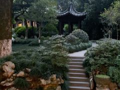 -十八棵（老龙井）御茶园(老龙井店)