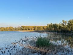 -野鸭湖国家湿地公园