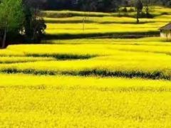 -汉中石门栈道风景区