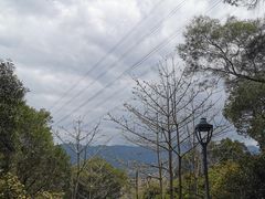 -金鸡山公园