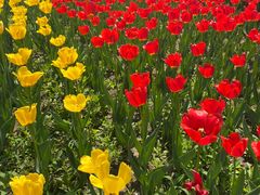 -长春公园(普阳街道)