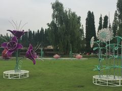 -秀丽东方