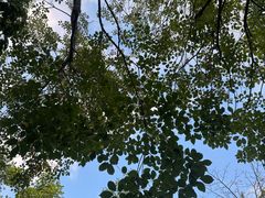 -水底山庄园温泉