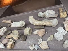 -世界恐龙谷景区