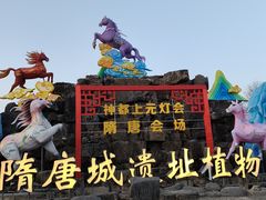 -洛阳市隋唐城遗址植物园