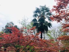 -南山植物园