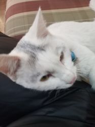 -梵梦影像馆(绿博园店)