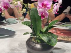 -湘颂·湘味家宴(侨鑫店)