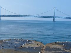 -星海广场