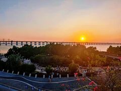 -宝安西湾红树林湿地公园