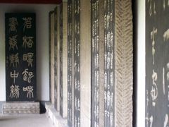 -碑林公园