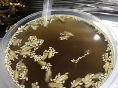 绿豆汤-宋文成烤肉(白沙巷店)