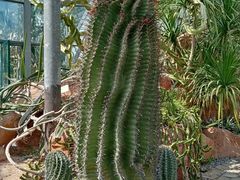 -华南国家植物园-售票处