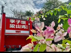 -李子坝梁山鸡(李子坝大鸡哥店)