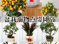 -F.Story 花和故事(新天地店)