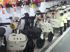 -雅迪电动车(北艾路店)
