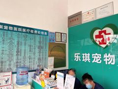 -乐琪宠物医院·犬猫专科·骨外科·急重症