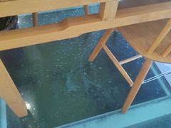 -品鲜村农家菜·阳澄湖大闸蟹(总店)