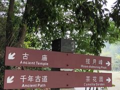 -广州市帽峰山景区