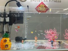 -中田·健身+普拉提(北京通州运河店)