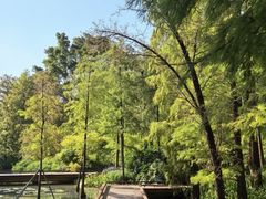 -云溪植物园