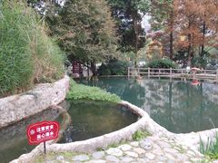 -成都市活水公园